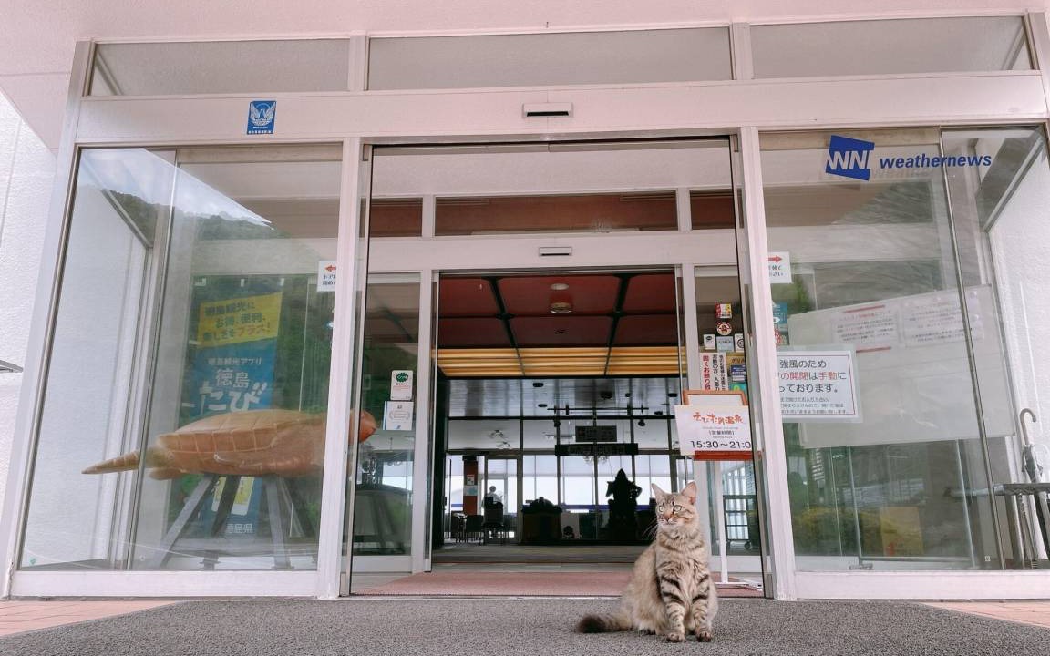 Photo of Others in Minami