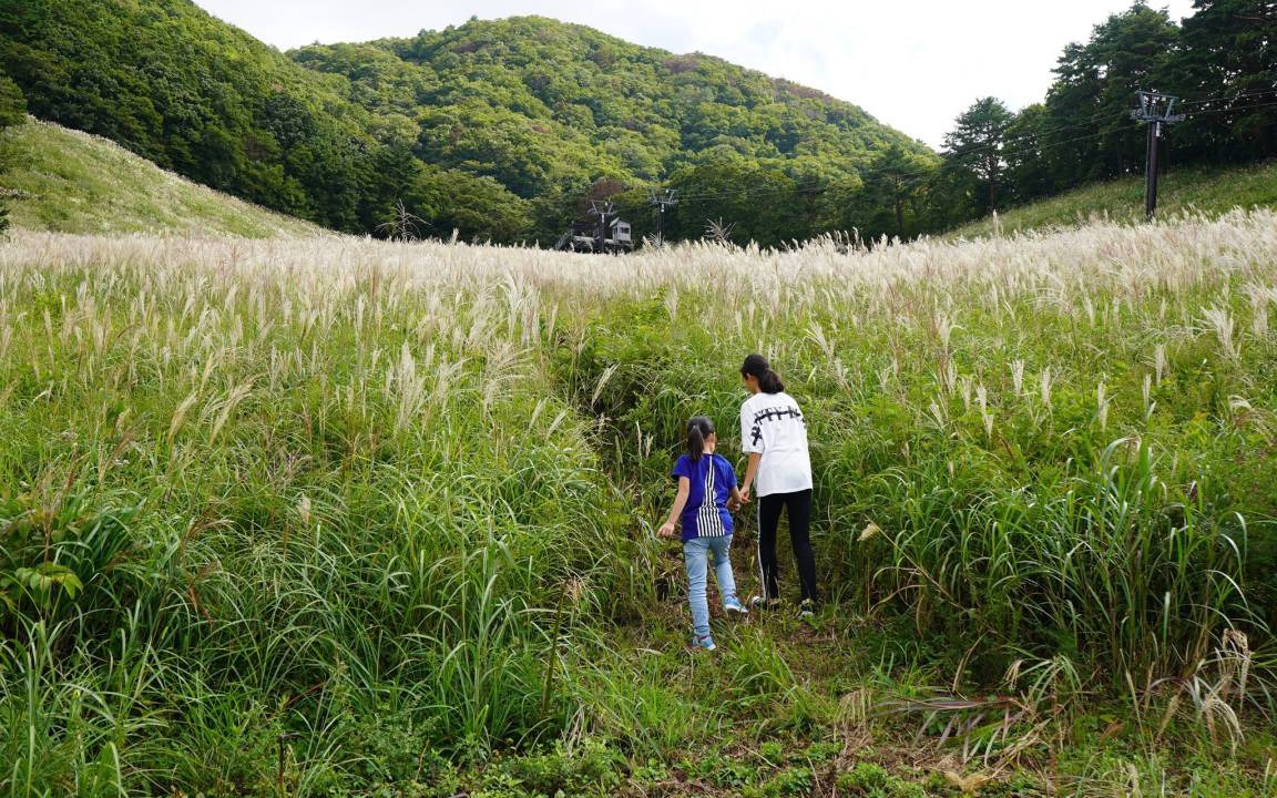 Photo of Others in Tohaku-gun