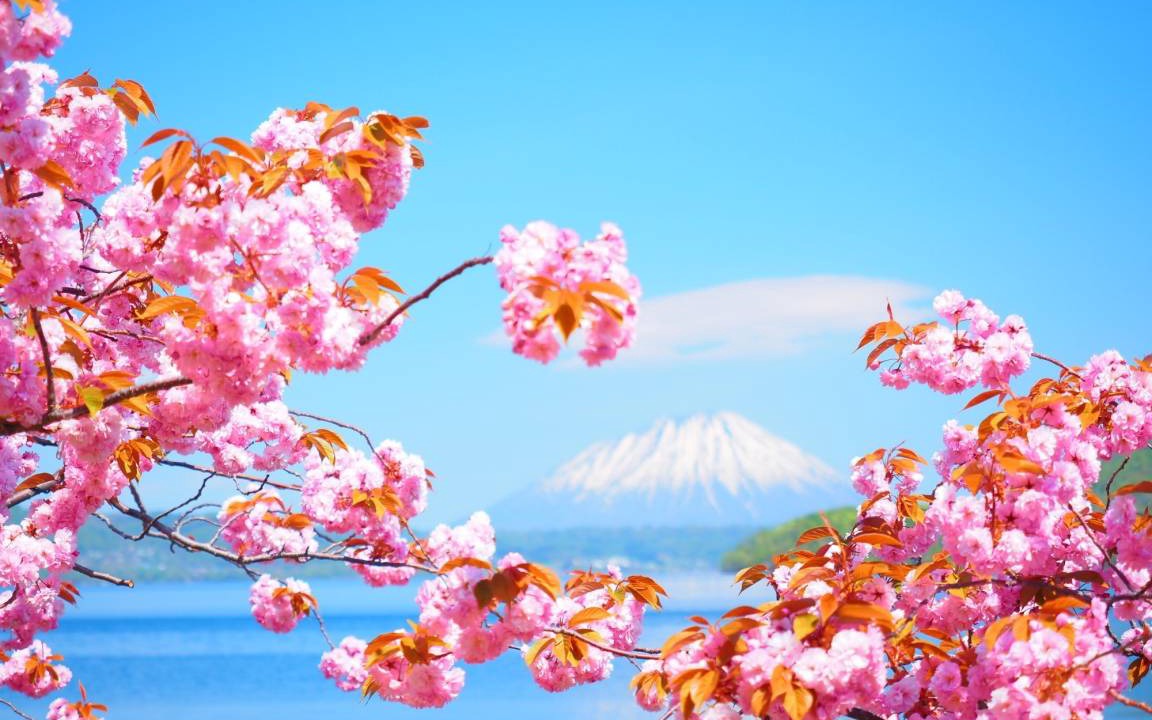 Photo of Others in Toyako