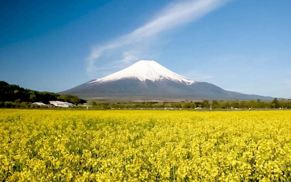 Photo of Others in Yamanakako