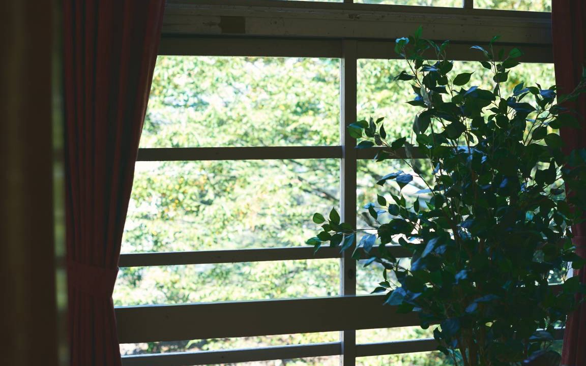 Photo of Others in Kudoyama