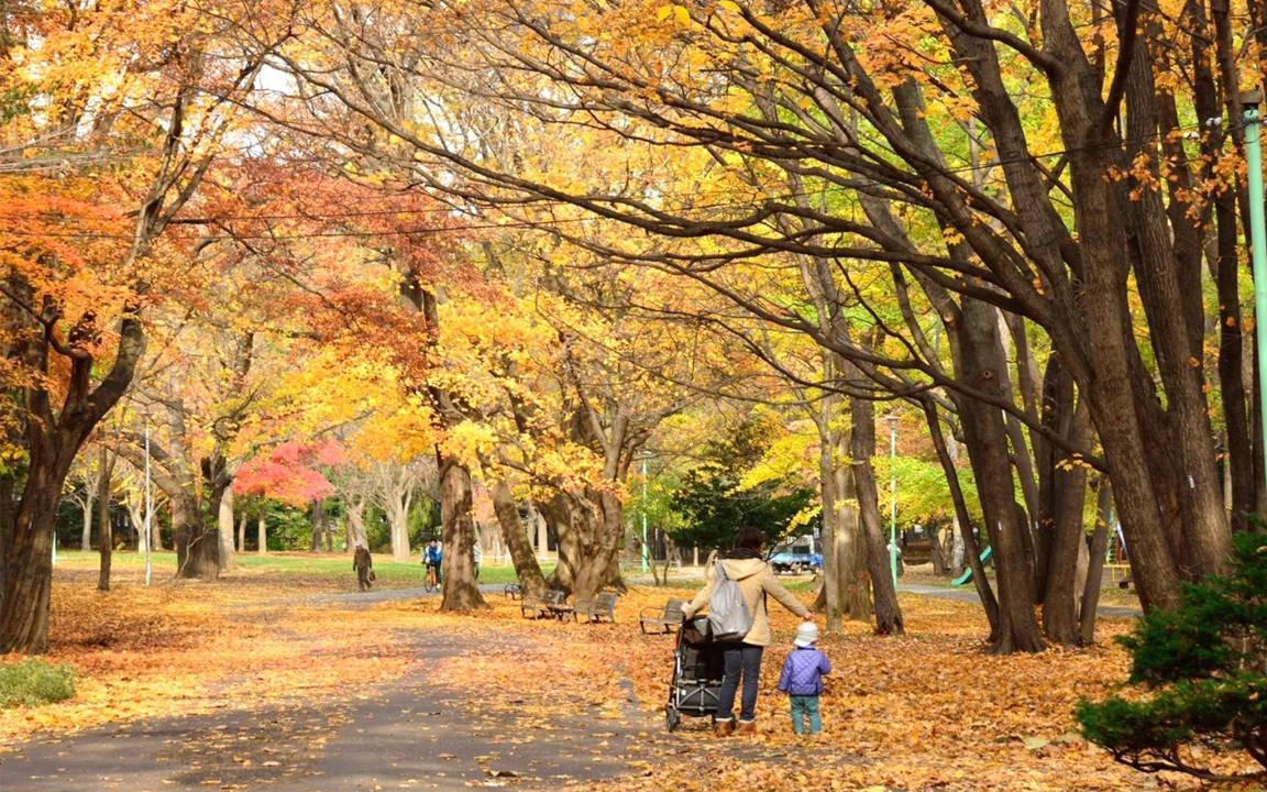 Photo of Others in Chuo-ku