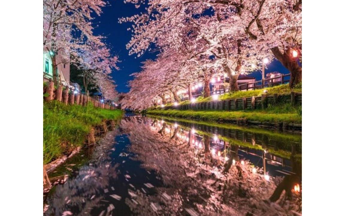 Photo of Others in Kawagoe
