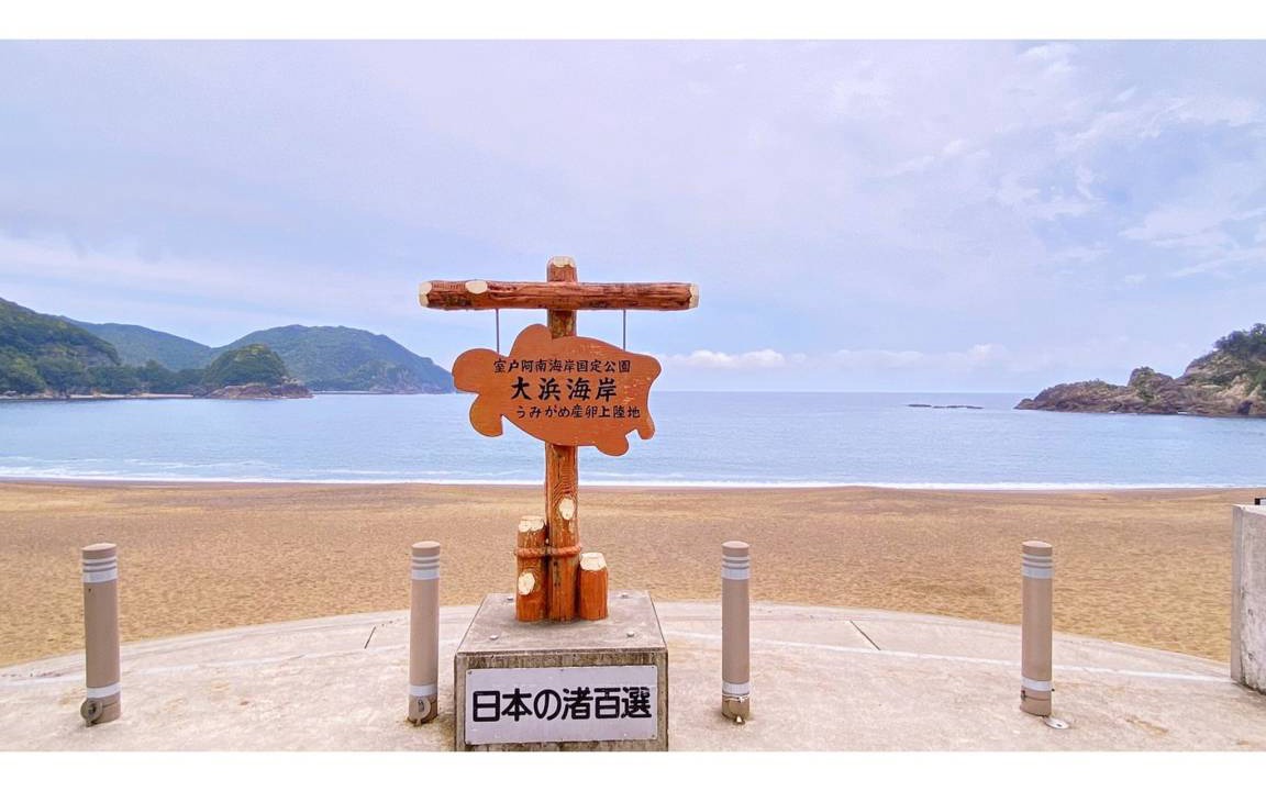 Photo of Others in Minami