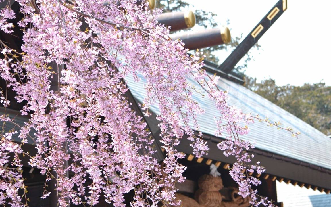Photo of Others in Chuo-ku