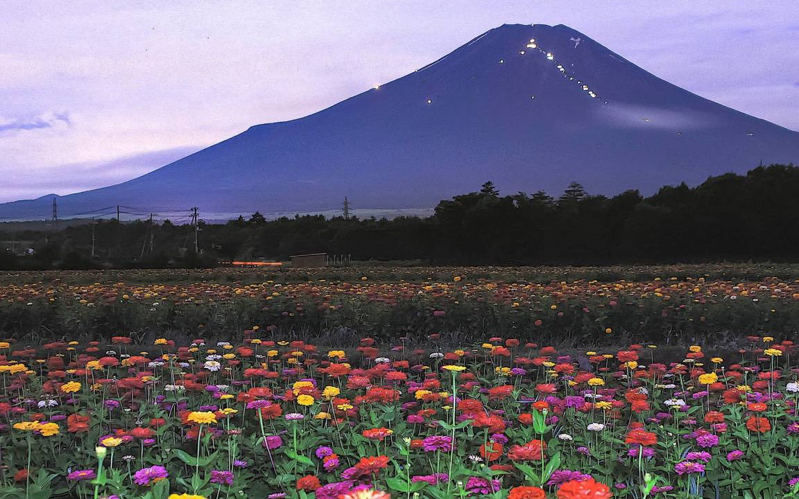 Photo of Others in Yamanakako