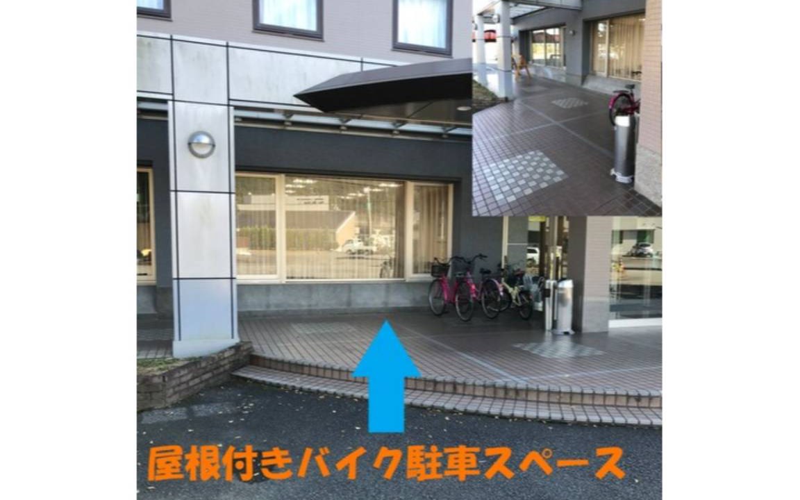 Photo of Others in Sukumo