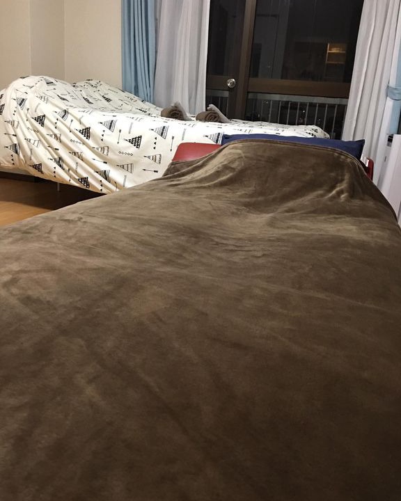 Photo of Bedroom in Nishiazabu