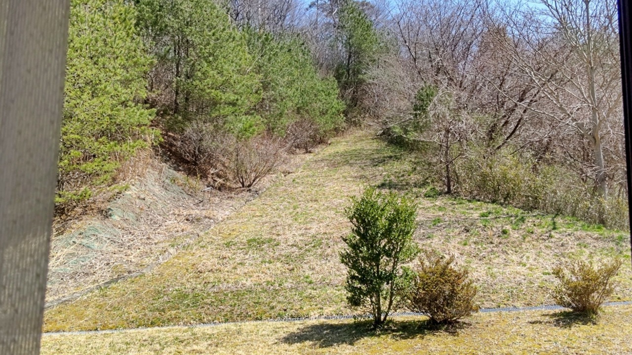 Photo of Others in Osato