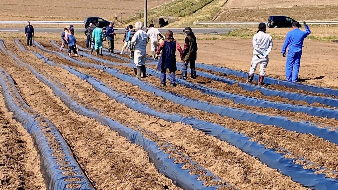 Photo of Outdoor in Osato