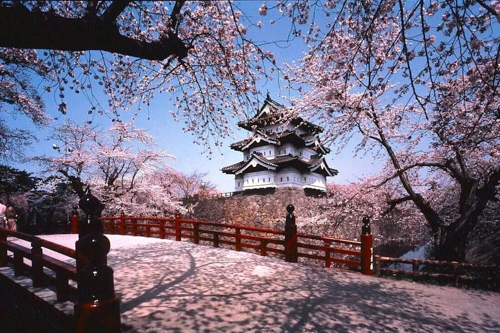 Photo of Others in Itabashi