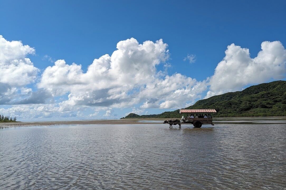 Photo of Others in Taketomi-jima Taketomi-cho