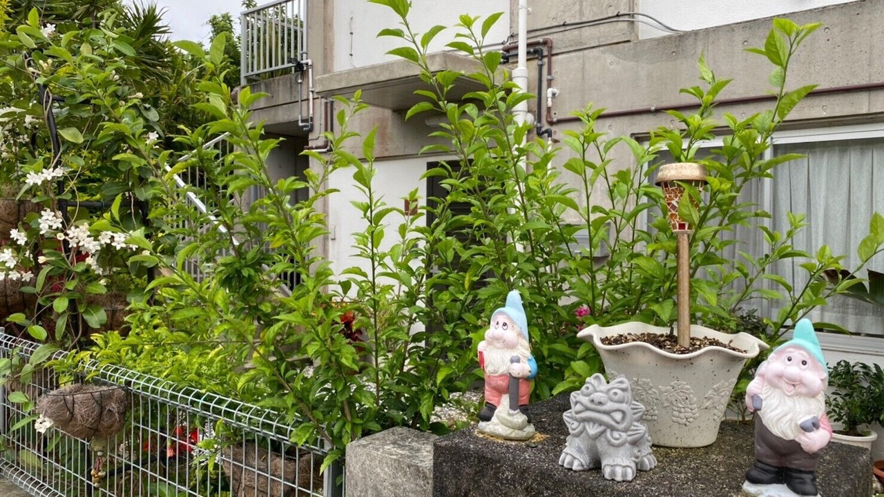 Photo of Others in Motobu