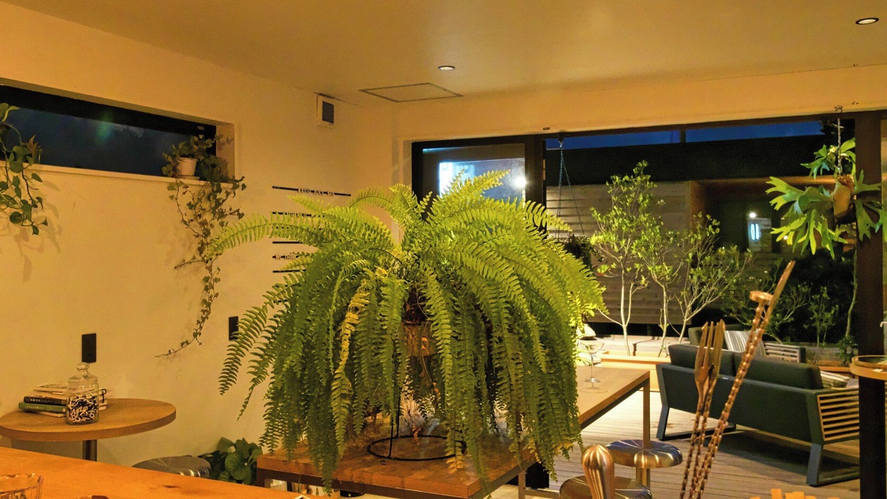Photo of Others in Miyakojima
