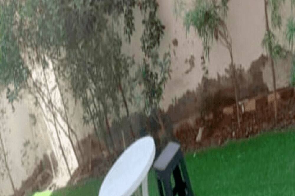 Photo of Outdoor in Al Mamsha El Seyahi