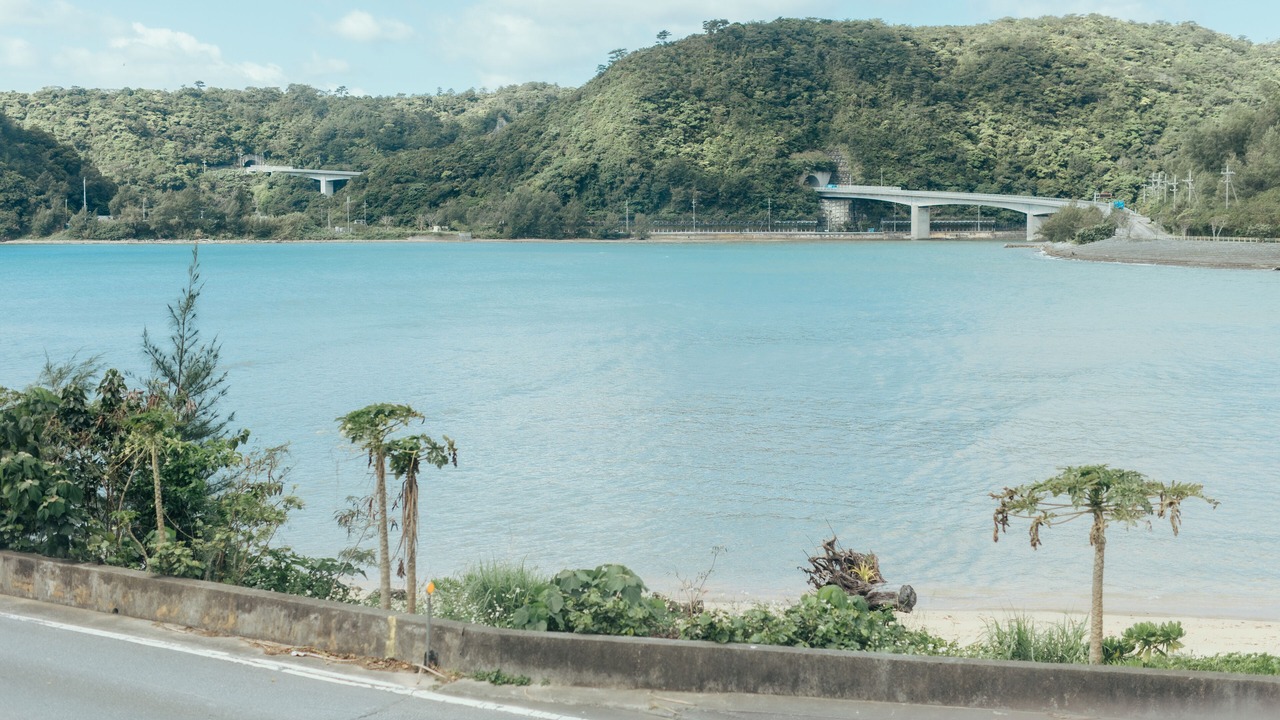 Photo of Others in Nago