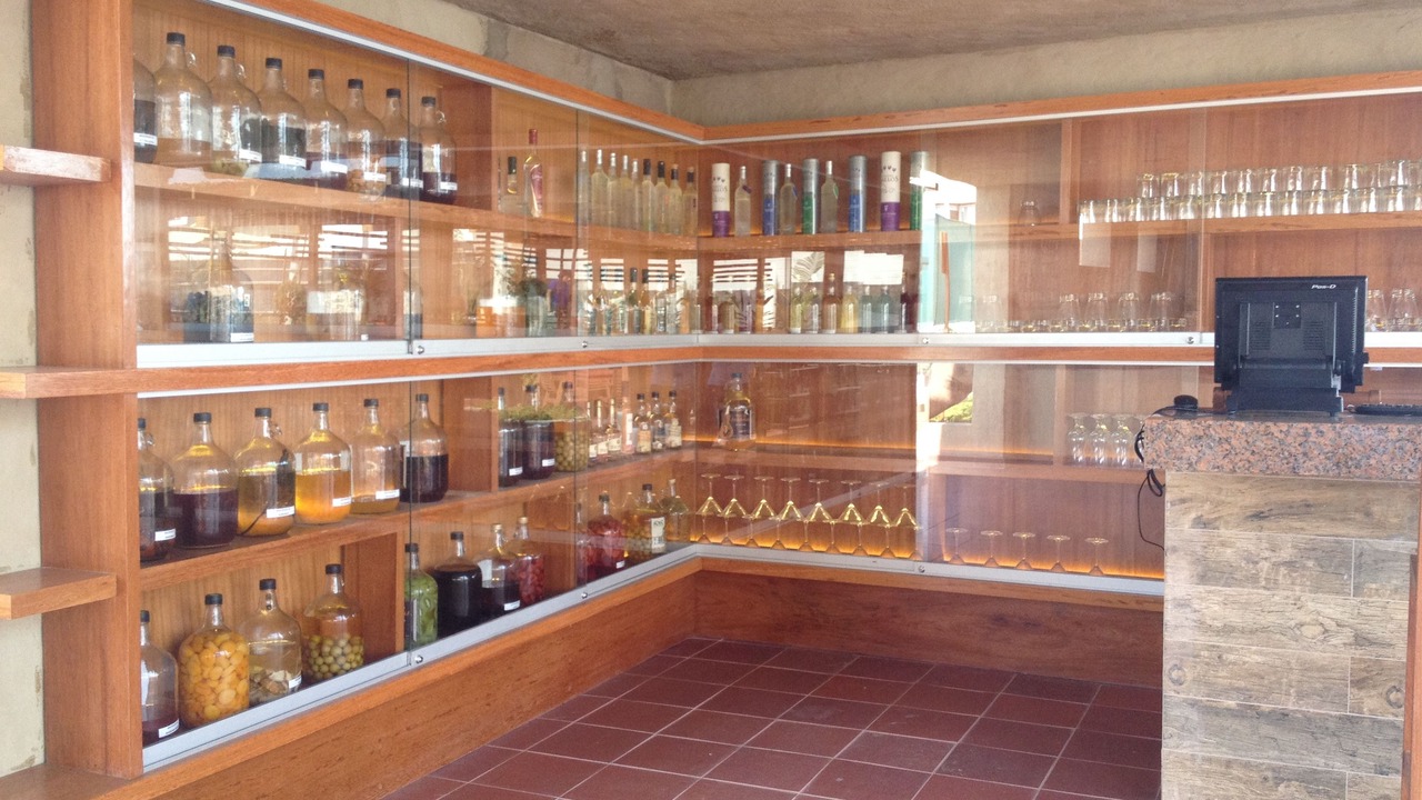 Photo of Others in Pisco