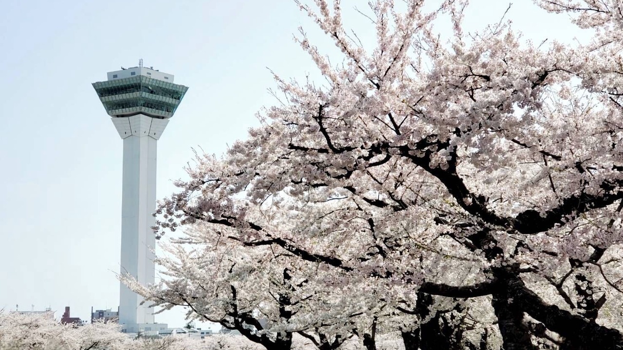Photo of Others in Hakodate
