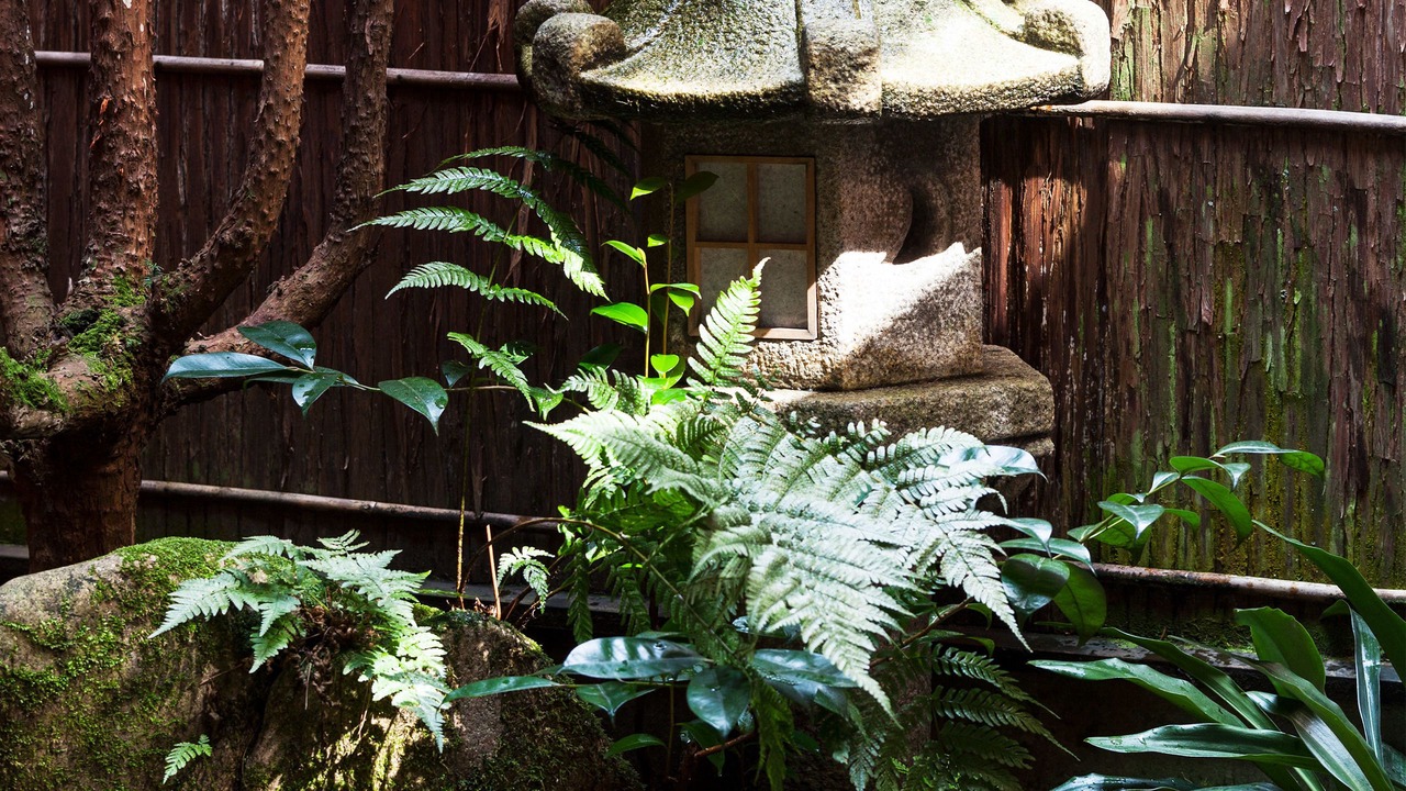 Photo of Outdoor in Kanazawa