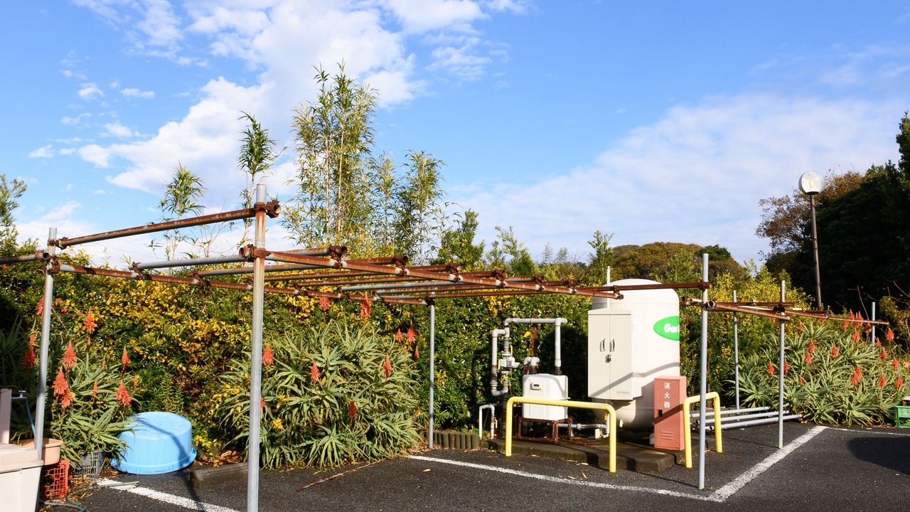 Photo of Outdoor in Omaezaki