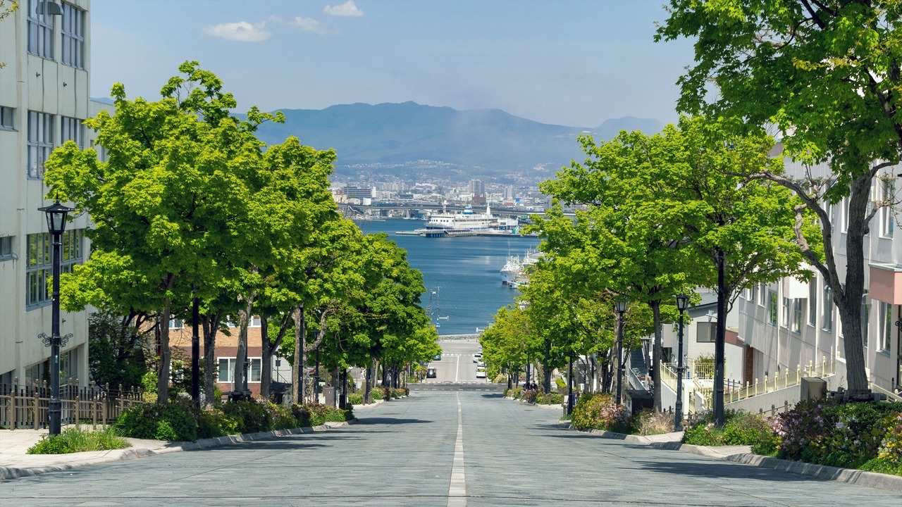 Photo of Others in Hakodate