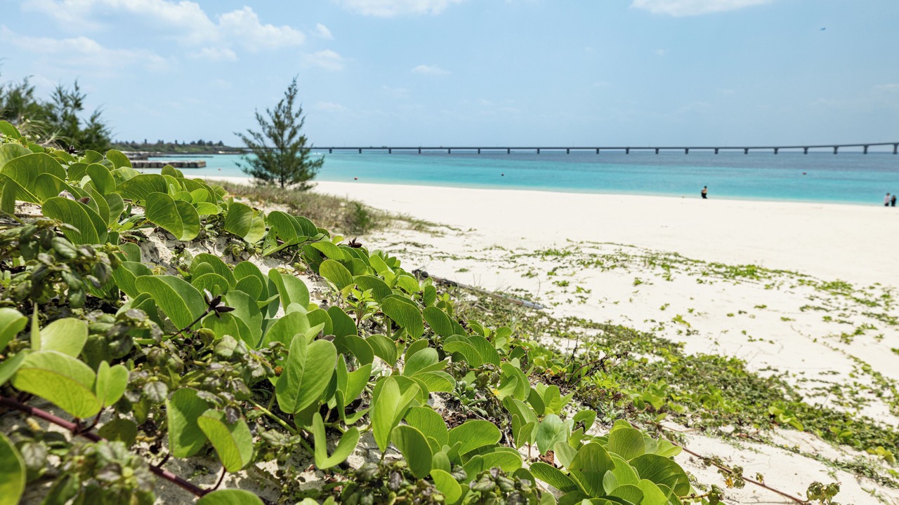 Photo of Others in Sarahama