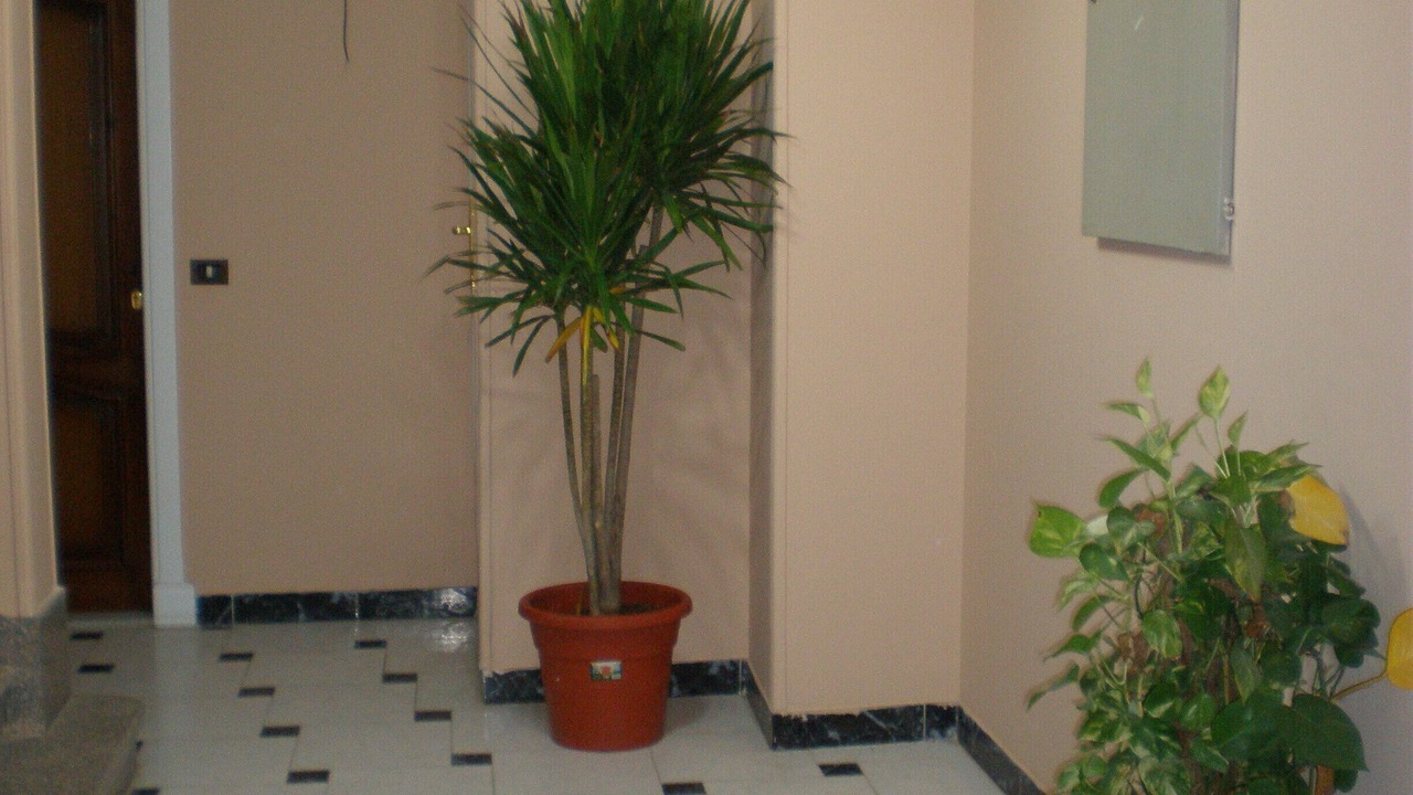 Photo of Others in Sheraton Road -Sakkala