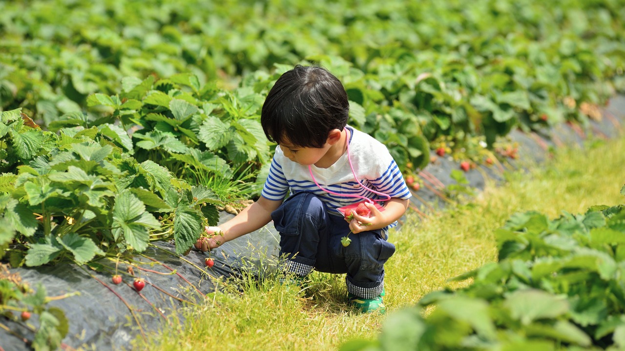 Photo of Outdoor in Chuo-ku