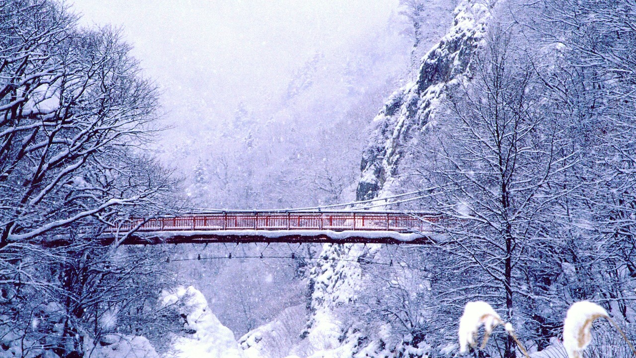 Photo of Outdoor in Chuo-ku
