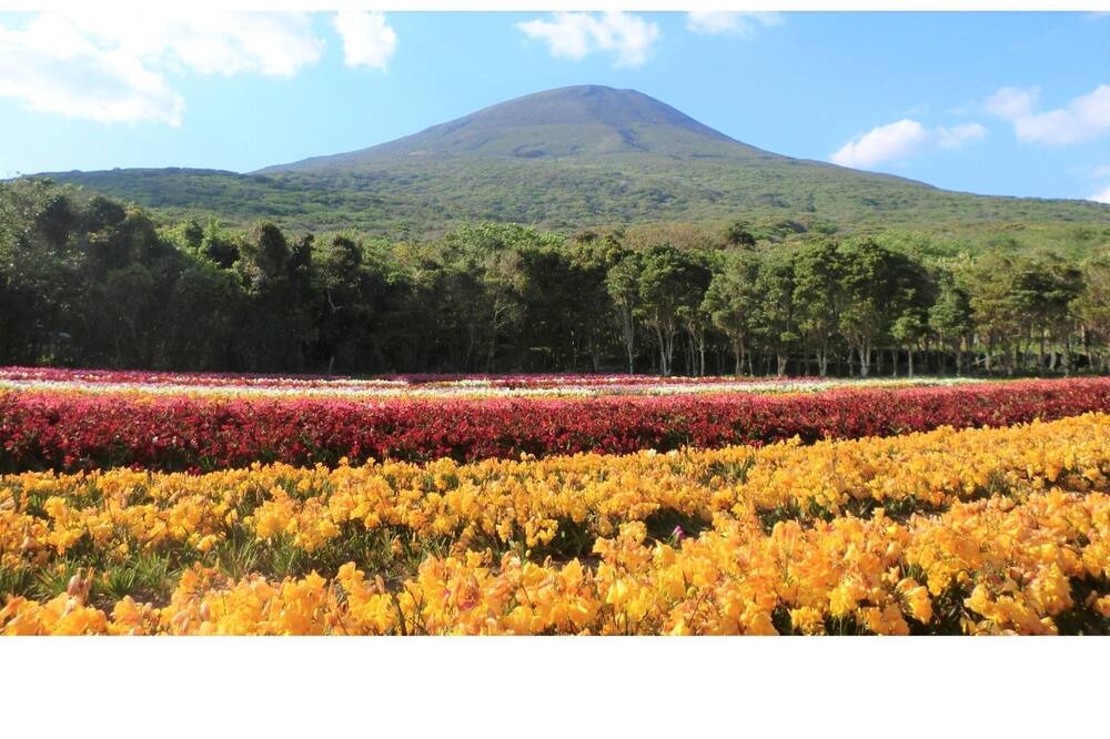 Photo of Others in Hachijo