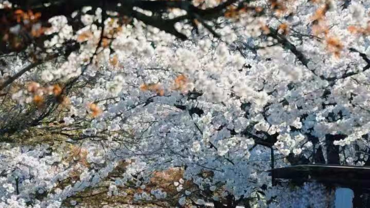 Photo of Outdoor in Minami