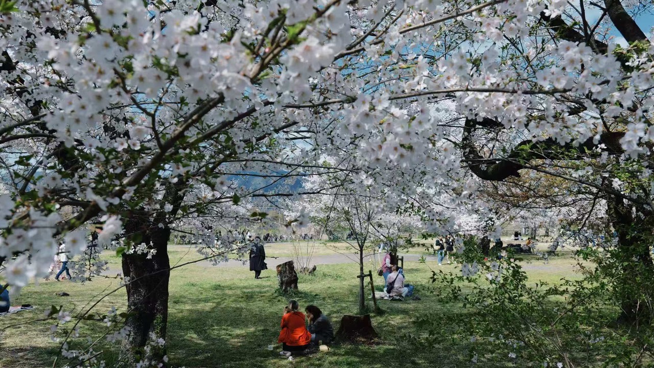 Photo of Outdoor in Minami