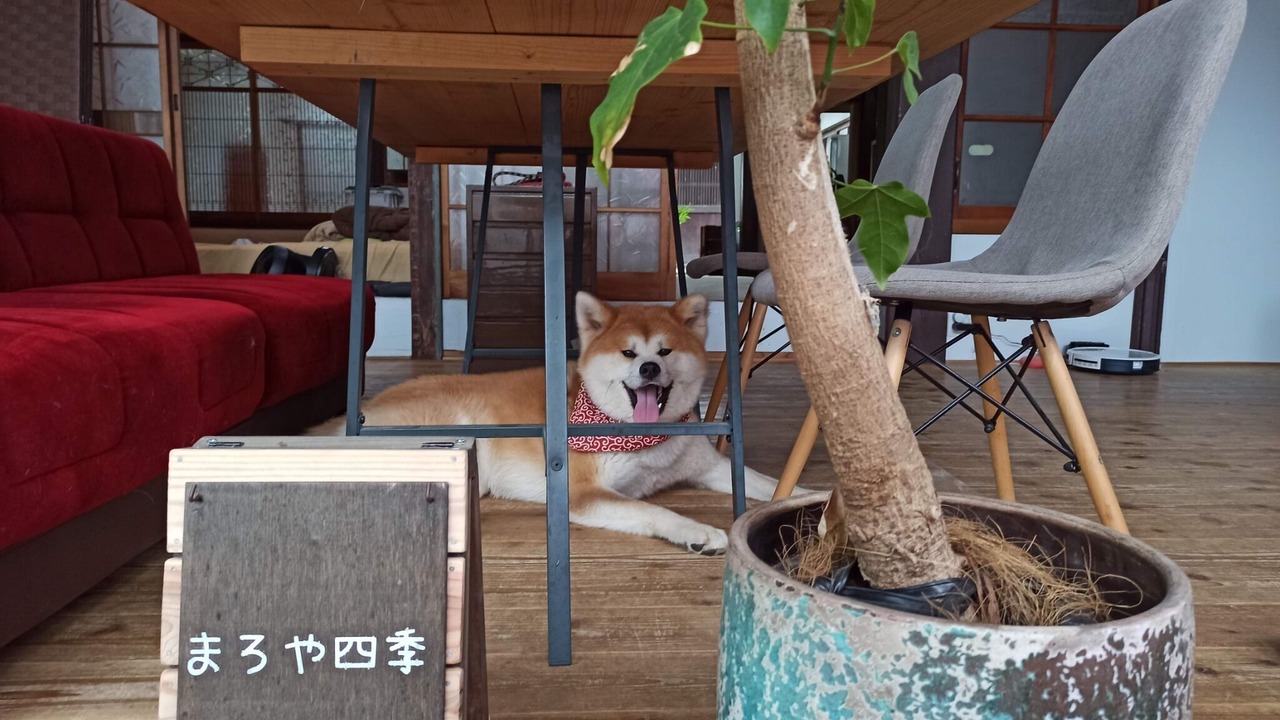 Photo of Outdoor in Ozu