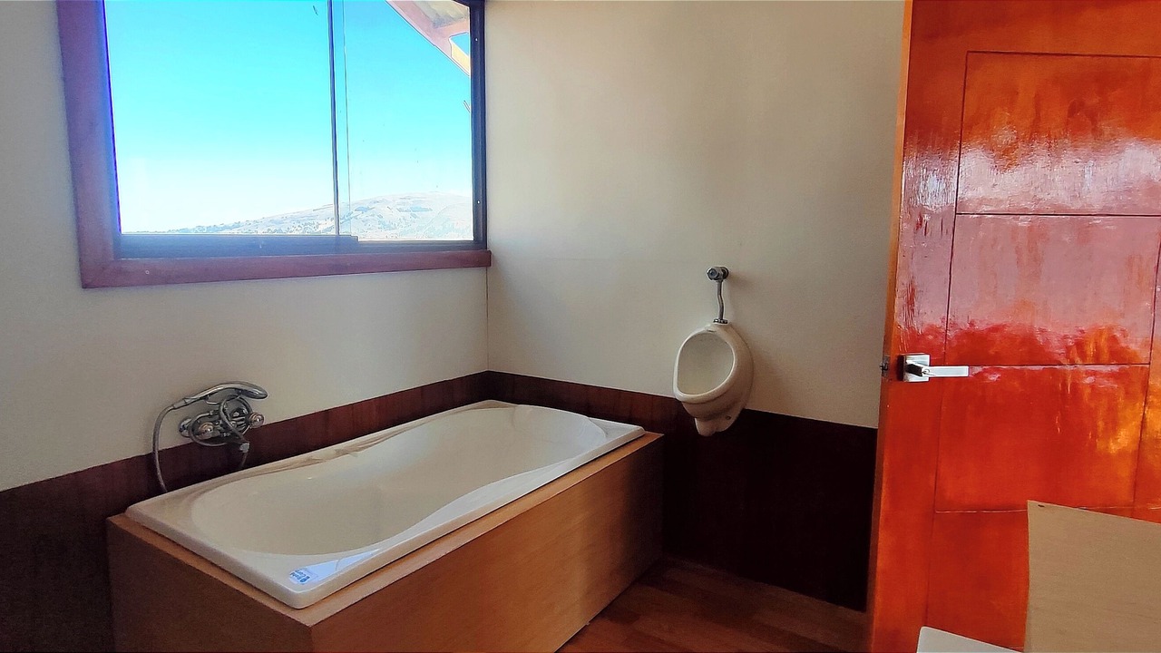 Photo of Bathroom in Puno