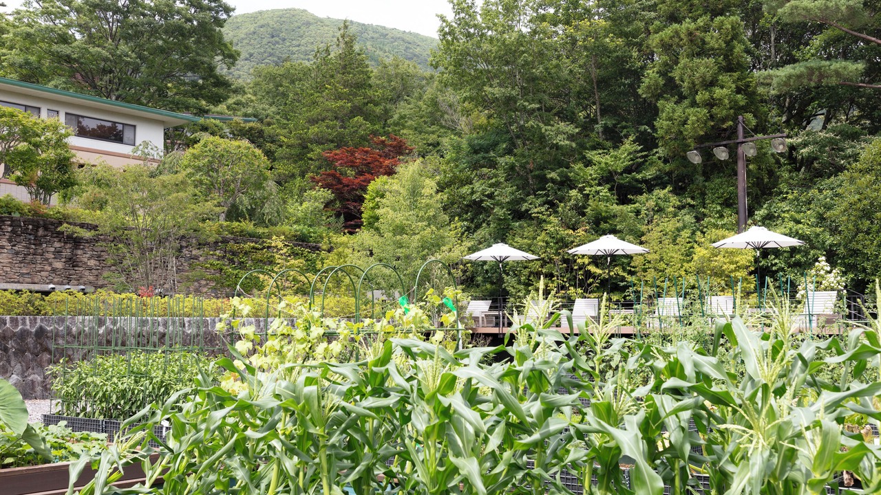 Photo of Outdoor in Hakone