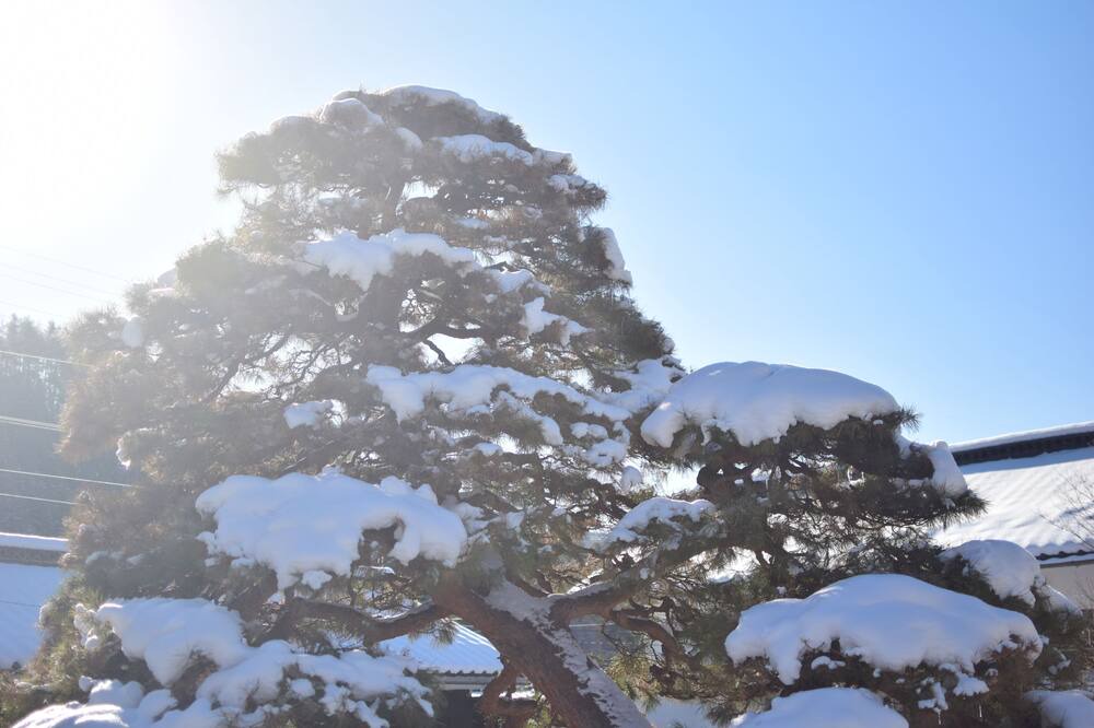 Photo of Outdoor in Omi