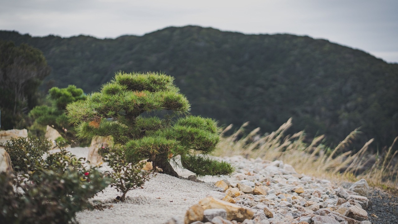 Photo of Outdoor in Shirahama