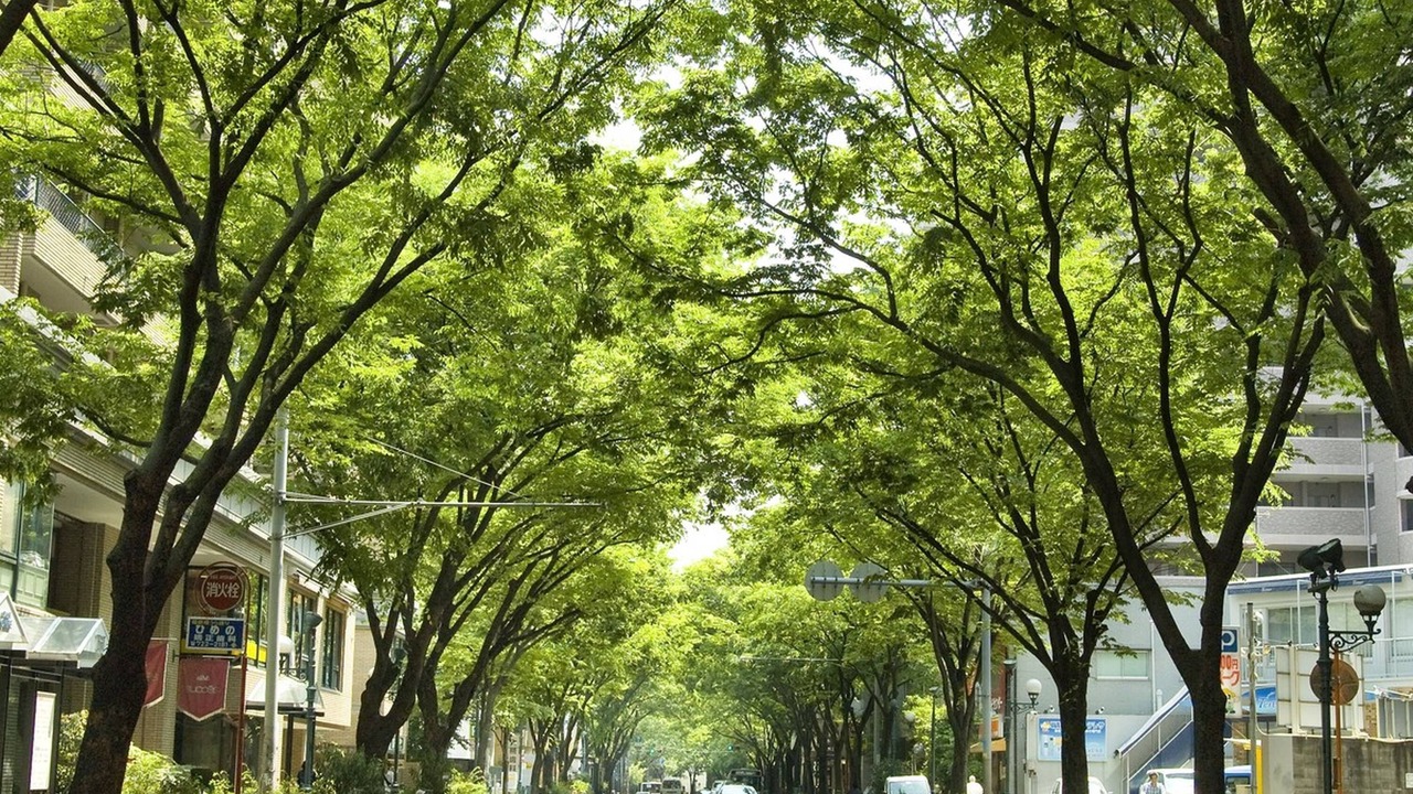 Photo of Others in Hakataekihigashi