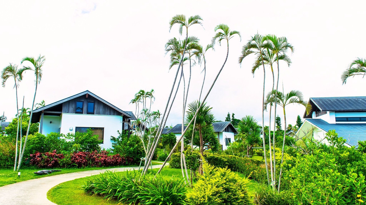 Photo of Outdoor in Ginoza