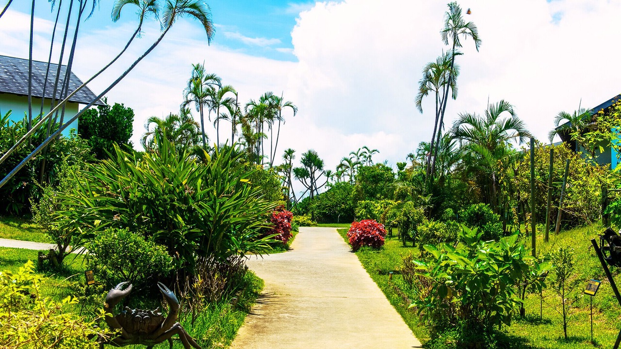 Photo of Outdoor in Ginoza