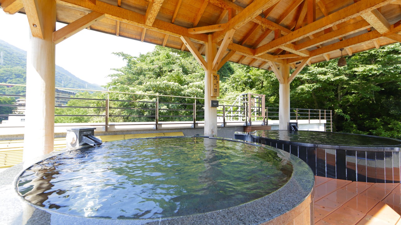 Photo of Others in Hakone Hot Springs