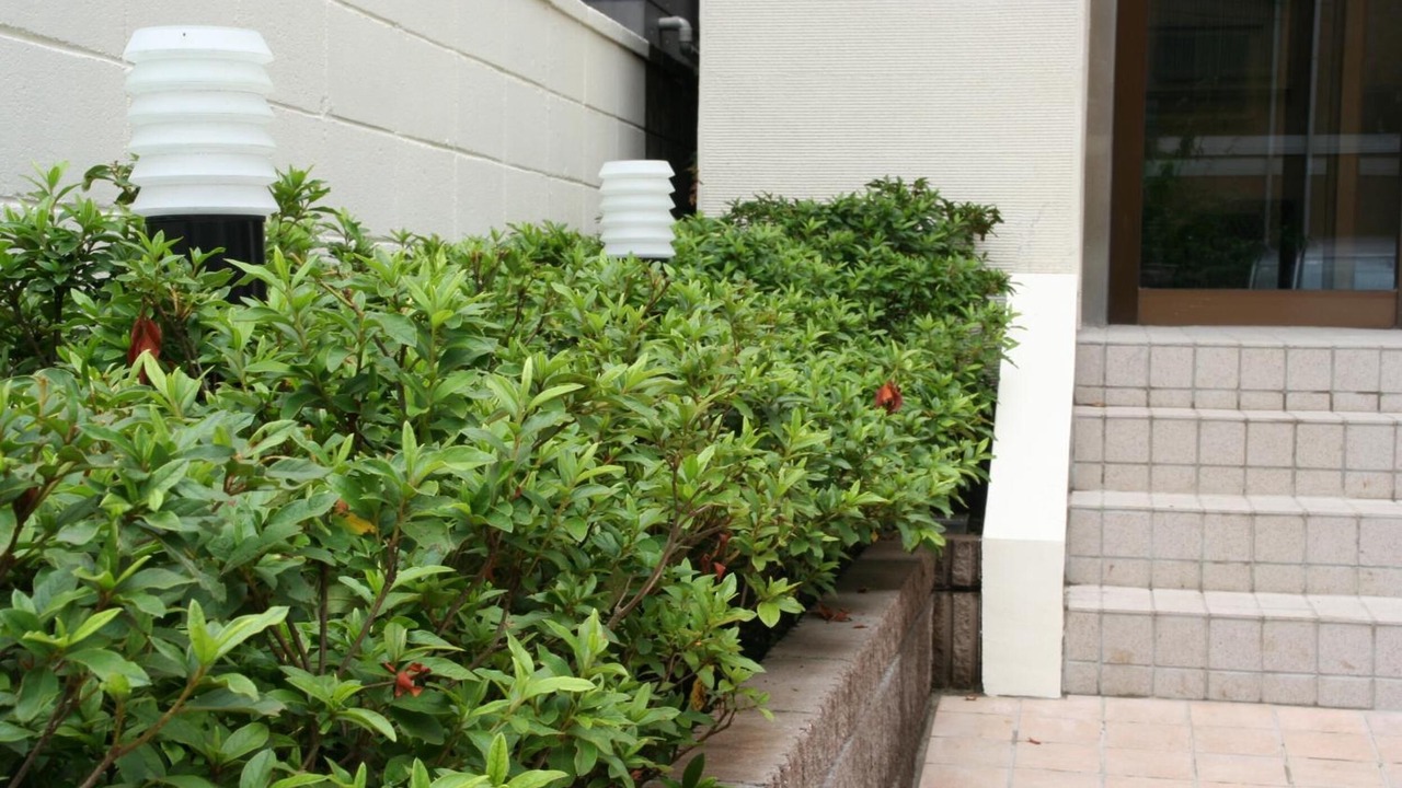 Photo of Outdoor in Hyakunincho
