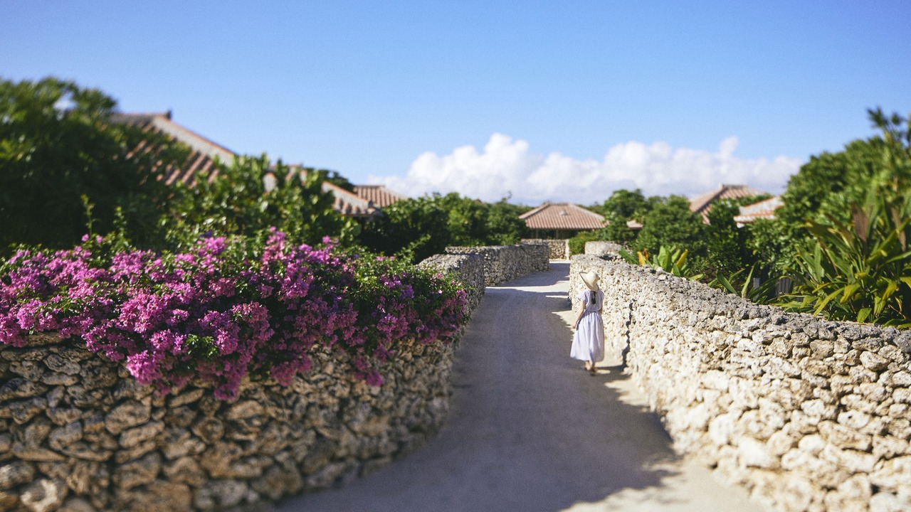 Photo of Outdoor in Taketomi-jima Taketomi-cho