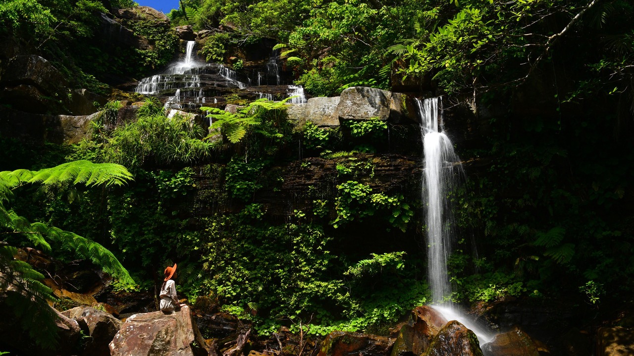 Photo of Outdoor in Taketomi-jima Taketomi-cho