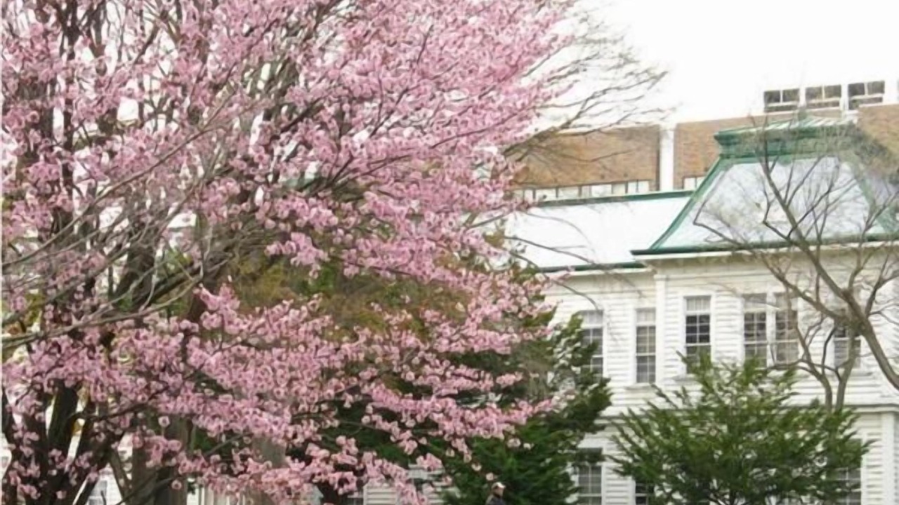Photo of Outdoor in Kita Ward