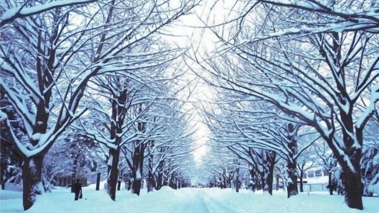 Photo of Outdoor in Kita Ward
