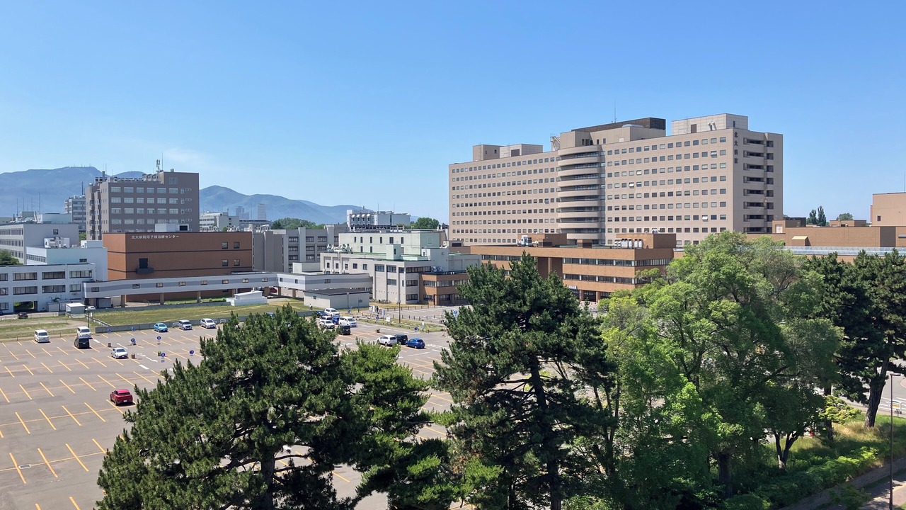 Photo of Others in Kita Ward