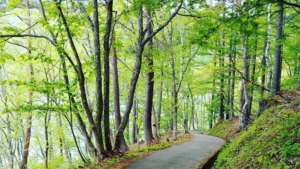 Photo of Others in Shiga Highlands