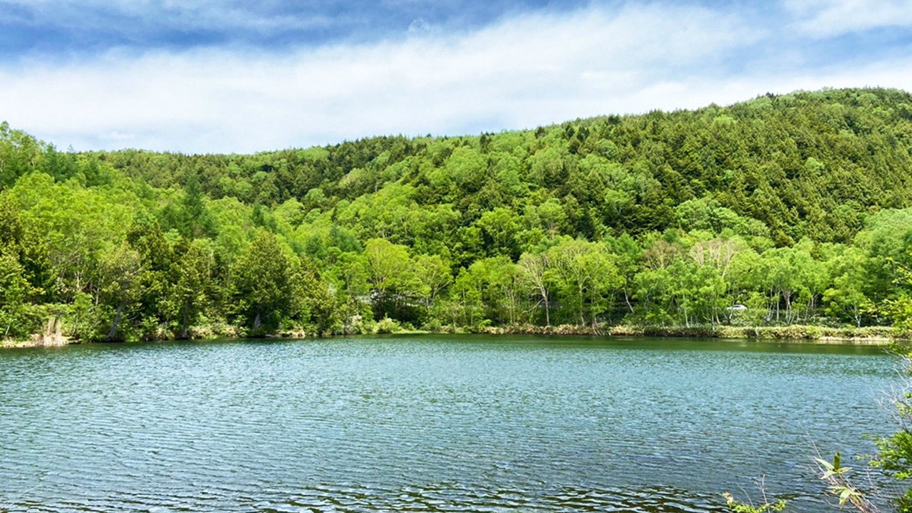 Photo of Outdoor in Shiga Highlands