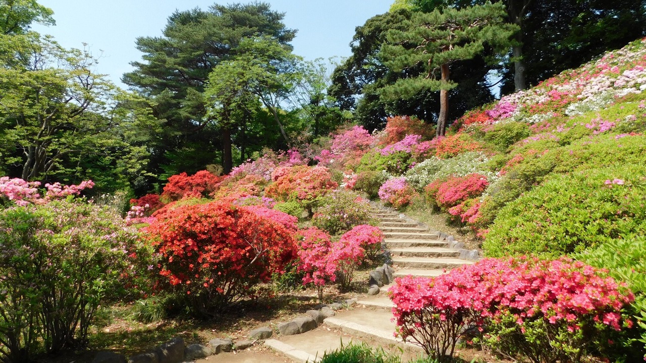 Photo of Outdoor in Toshima